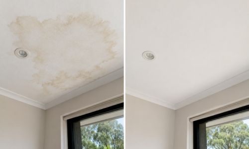 Ceiling stain investigation