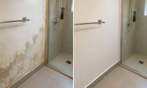 Leaking shower diagnosis